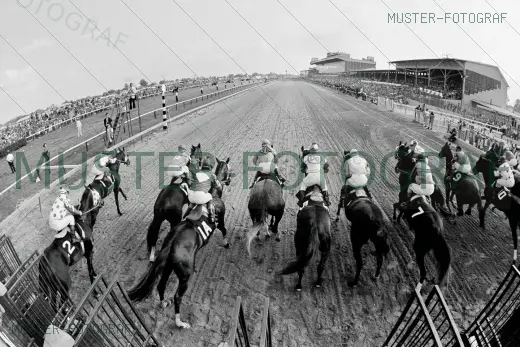 schwarz_weiss_pferderennen_galopp