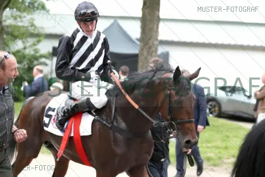 Muster-Bild 0002
