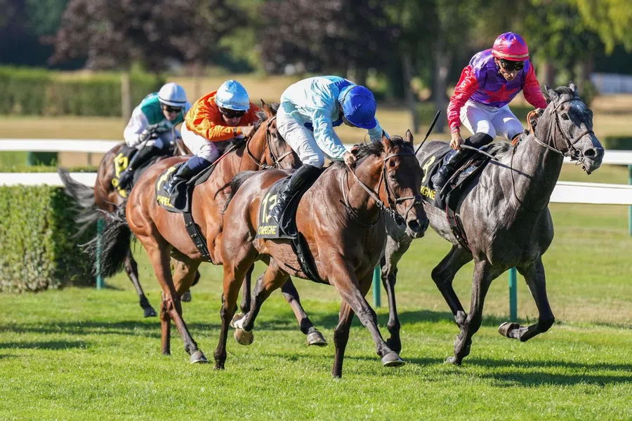 Quinté+-Triumph in Compiègne: Saxon Village beschert Trainer Sébastien Jésus nächsten Erfolg